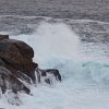 Peggys Cove 2011_23